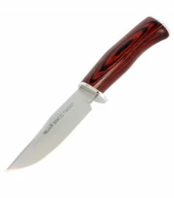 Muela Braco hunting knife, wood coral