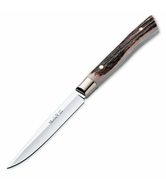Muela Braco hunting knife, wood coral 1 Muela Braco hunting knife, wood coral