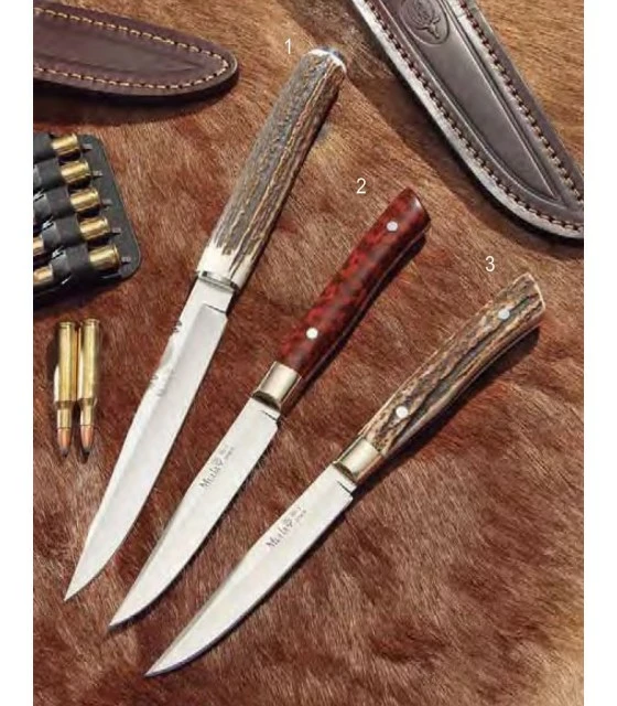 Muela Braco hunting knife, wood coral 2 Muela Braco hunting knife, wood coral - Image 2