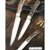 Muela Creole-Bowie knife with stag horn handle