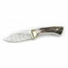 Muela Colibri Damascus Knife