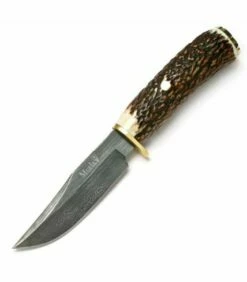 Muela Braco hunting knife, stag horn handle