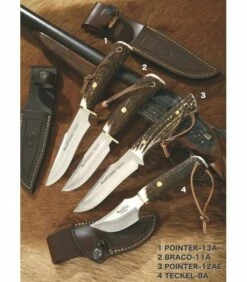 Muela Knives Pointer, Braco, Dachshund