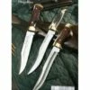 Muela Folding knives