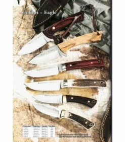 Muela Hummingbird-Eagle Knife