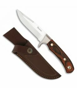 Knife sports Albainox, sheet 11 cms.